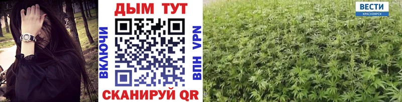 Шишки марихуана семена  Купить  Тара 